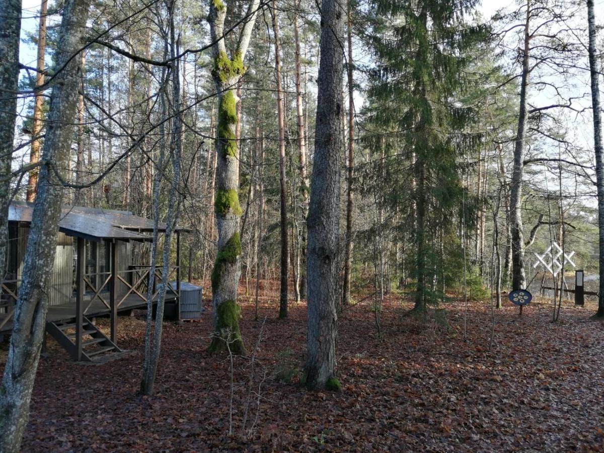 Дома для отпуска Meža māja Zaķumuiža